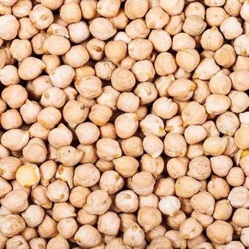 Fresh Kabuli Chana / Chhole
